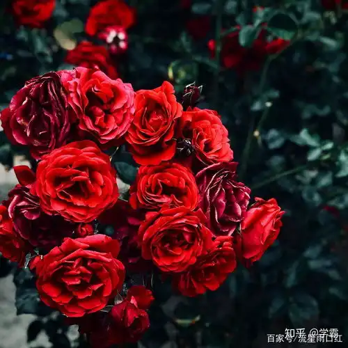 七夕礼物送女朋友礼物推荐,什么口红浪漫有意义
