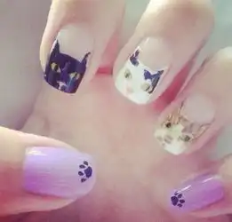猫咪元素无...愉小安minatop
