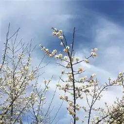 微信最吉利的好看头像风景男2018年吉利微信风景头像男

