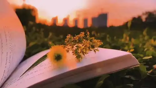 昨天无论好坏都已经过去,明天无论成败还没有到来,今天无论得失都要面对想开点,看淡点,心情就会好一点面朝阳光,努力过好
