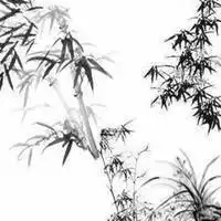 找个黑白风景头像黑白颜色的风景头像图片
