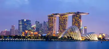 涂鸦也可能被鞭刑新加坡真的是个狠人
