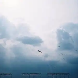 文艺佛系头像,高清清新静心修心的微信头像图片
