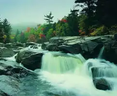 溪流水源图自然风景图片自然风景溪流水源
