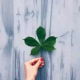 请给别人一个爱你的理由
