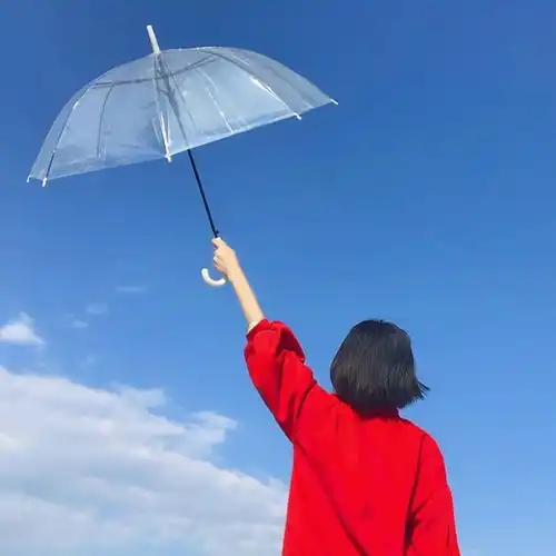 长椅背影
