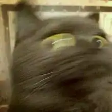 邑大表白墙第八季第23期
