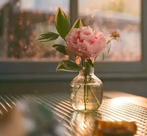 带上自己的阳光,向春天出发
