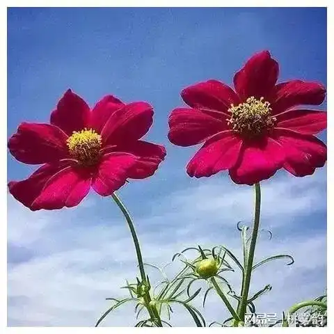 他被军校做退学处理,从报到那天就露出了端倪,咎由自取
