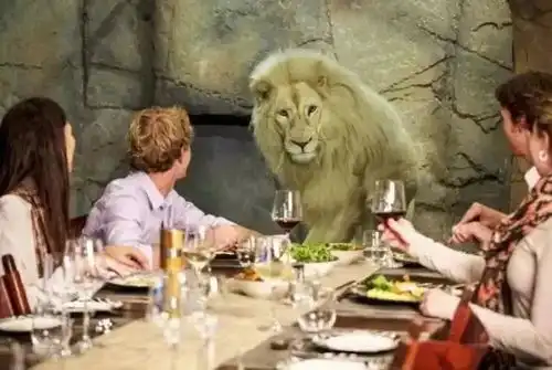 与野兽同吃同睡,这家全球最兽性酒店酷爆了
