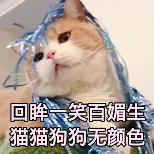 有没有什么适合女生用的沙雕头像
