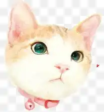 水彩手绘猫咪图案素材图片免费下载高清装饰图案png千库网图片编号1334180
