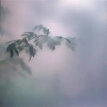 能带来好运的微信头像图片静谧微信旺运头像图片大全
