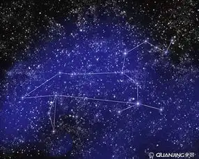 狮子图片图片大全
