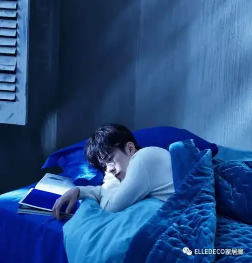 家居类双十一囤点啥
