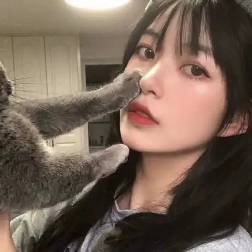 沙雕网友必备的cpdd文案
