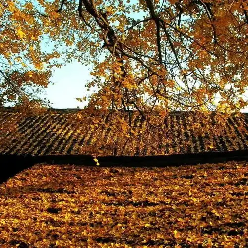 11月最美9个旅行地,在对的时间去对的地方
