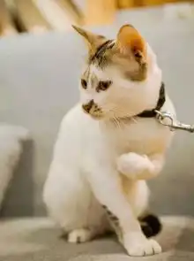 佛山这几家情资小调的咖啡小馆,周末打卡好去处
