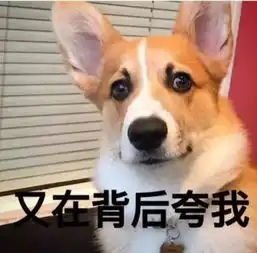 寻找恩施的抖音达人,你们成为网红的机会来了
