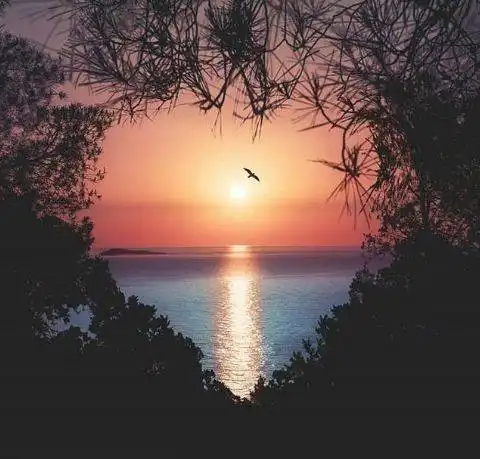 你比别人多一点执着,你就会创造奇迹
