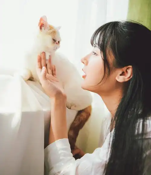 月下诗歌和猫同眠
