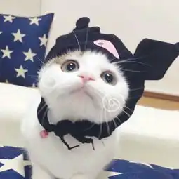 拥有一个超可爱的男朋友是什么体验
