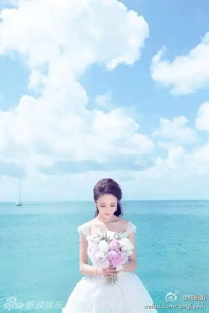 陈思诚佟丽娅婚纱照曝光发表爱的誓言
