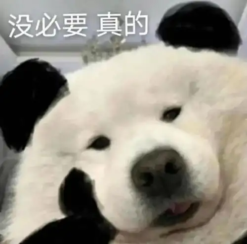 他是被饭圈毁了
