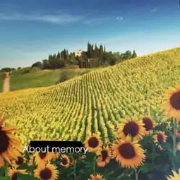 博主太帅无法显示的美拍
