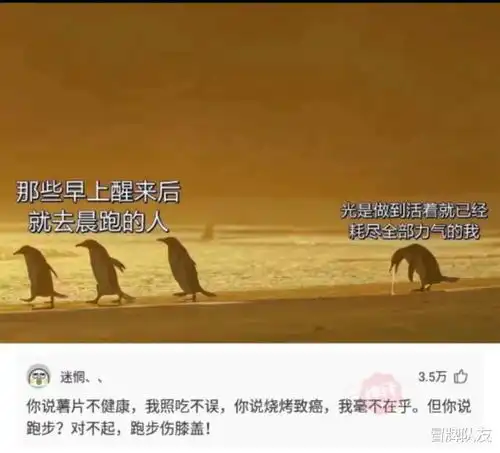 神回复去吃火锅的时候小肥牛小肥羊都有,为什么没有小肥猪

