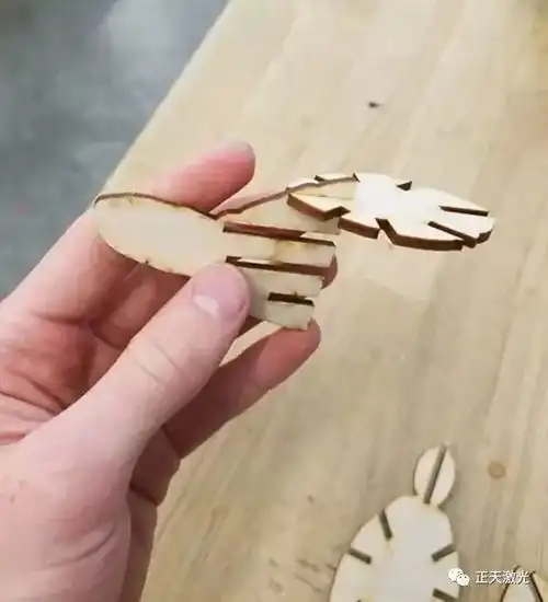 正天激光应用小课堂送你一只长寿龟,健康长寿又吉祥87期
