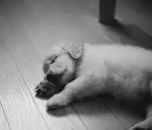 清新经典简约文字图片手机壁纸微信头像图片大全
