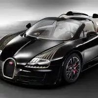 自制狗狗婴儿床,感觉怎么样
