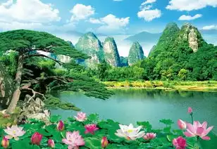 无类目家装主材墙纸家居建材绒面墙纸黎记画业蘑菇街优店
