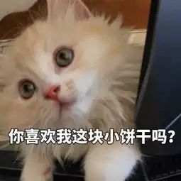 狮子座女生和射手座男生在一起合适吗
