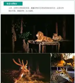 与动物同乐巴厘safari野生动物园龙套餐狮子套餐顶配犀牛套餐体验可含用车接送各种套餐的自助午餐
