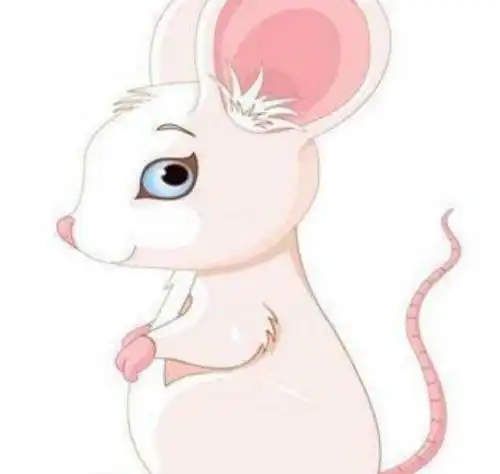 属鼠的和属牛的婚姻怎么样属牛和属鼠适合在2021年结婚吗
