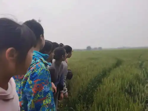 跟随习爷爷的脚步,感受新农村的变化镇江实验学校六年级童心研家乡世业洲综合实践活动纪录
