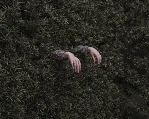 photo谁都应该有个隐匿的小世界,做一个真正快乐的人
