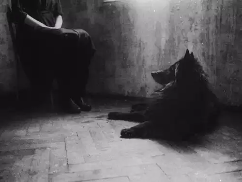 波兰女摄影师,名妓与妖仙,情色和死亡相融合的情绪
