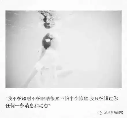 再见,只是陌生人
