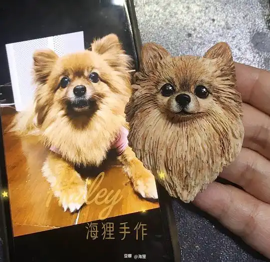 海狸的相册客定头像回顾
