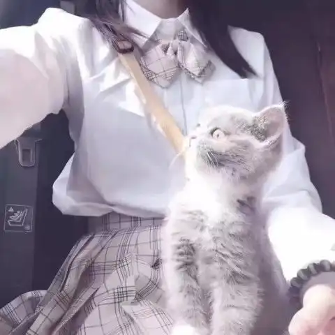 最近火了一波卡哇伊仙女头像,张张都是心动的感觉,受不了啊
