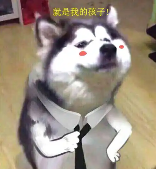 八哥犬意外怀孕,生产时主人有些好奇,走近一看不淡定了
