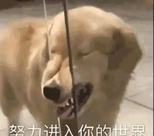明星语录发人深省李易峰坚守初心,宋亚轩初生牛犊不怕虎
