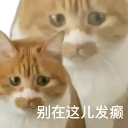 汪小菲新女友正式官宣恋情她的脸和刚被狗仔爆出恋情的时候你们看懂了
