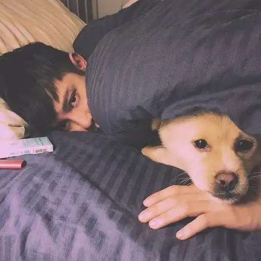 有些人为什么坚持大学不恋爱或者很久才恋爱写的真的很好
