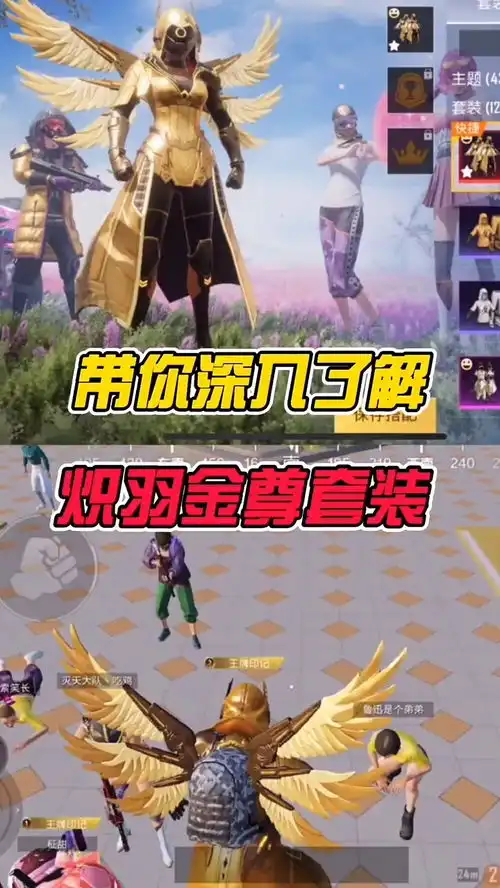 带深入了解炽羽金尊和平精英
