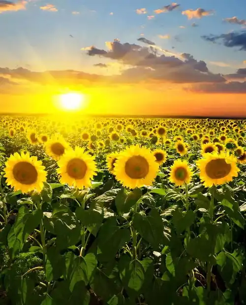 不要让孩子成为精神上的留守儿童
