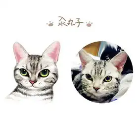 手绘板绘制猫大人头像
